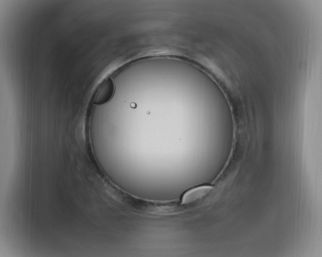 X0000115761173200911201152