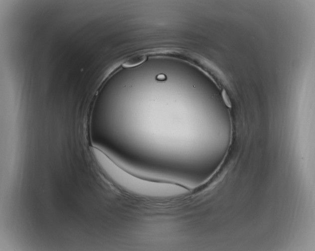 X0000115761177200911201152