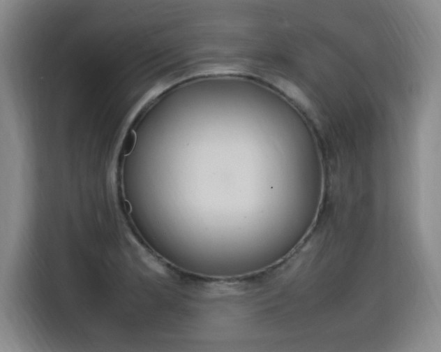 X0000115761181200911201152