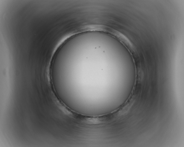 X0000115761182200911201152