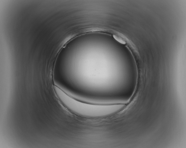 X0000115761185200911201152