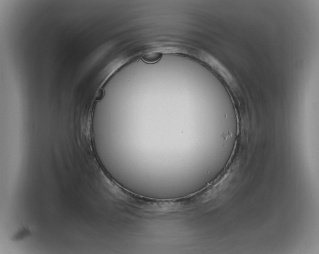 X0000115761193200911201152