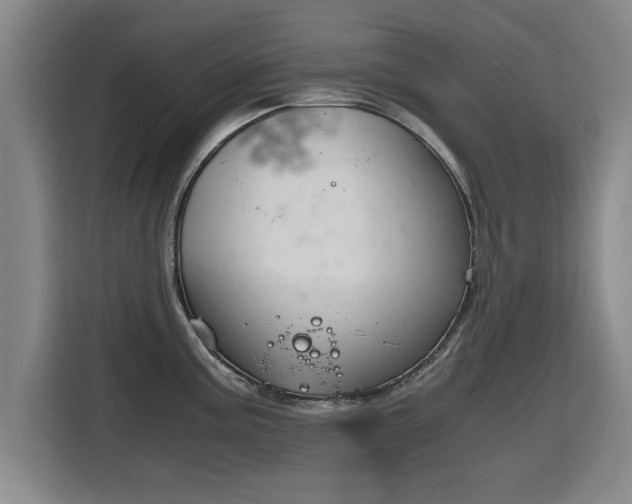 X0000115761195200911201152