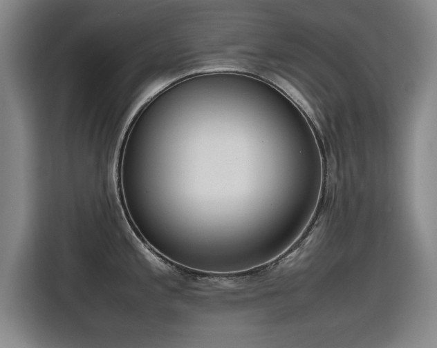 X0000115761197200911201152
