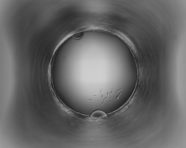 X0000115761198200911201152