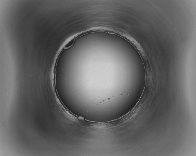 X0000115761199200911201152