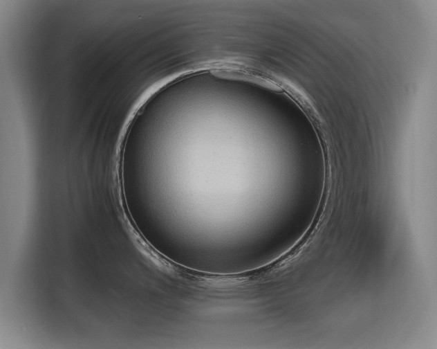 X0000115761200200911201152