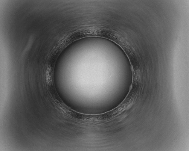 X0000115761202200911201151