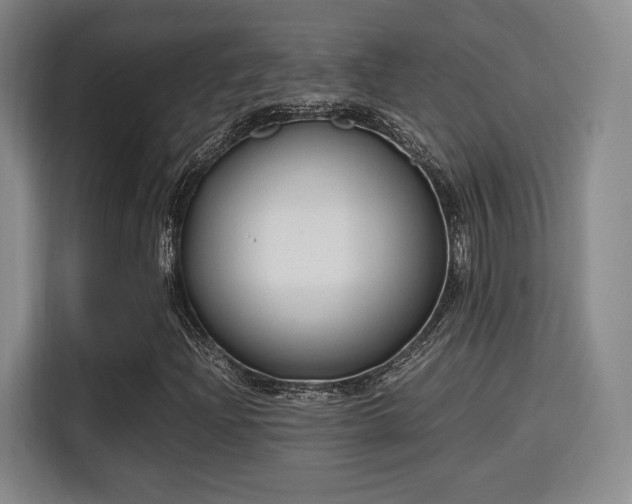 X0000115761204200911201151