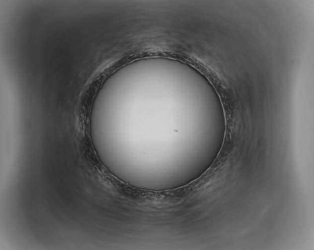 X0000115761207200911201151
