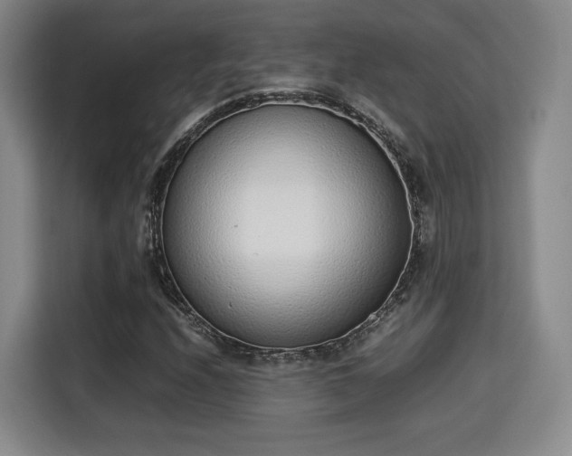 X0000115761208200911201151