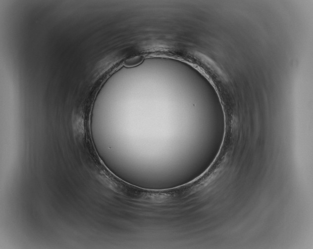 X0000115761209200911201151