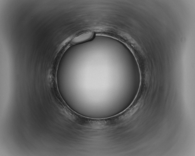 X0000115761210200911201151
