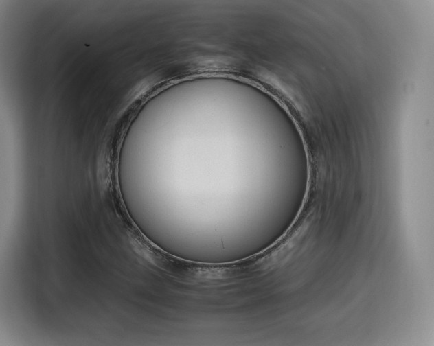 X0000115761211200911201151