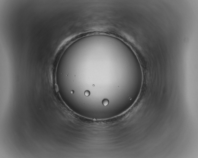 X0000115761214200911201151