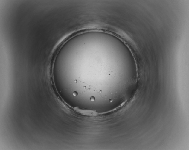 X0000115761216200911201151
