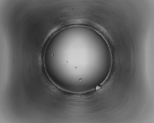 X0000115761218200911201151