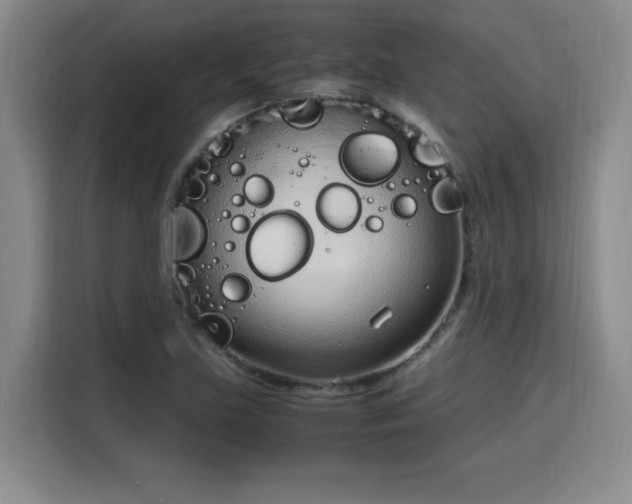 X0000115761219200911201151