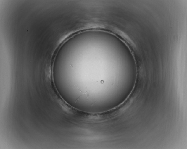 X0000115761220200911201151