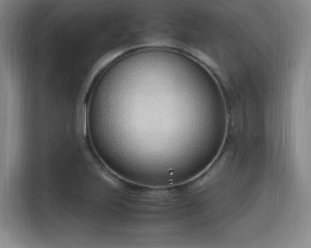 X0000115761223200911201151