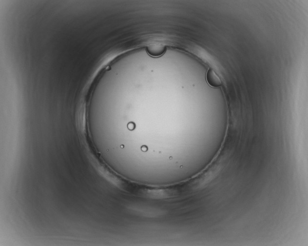 X0000115761227200911201151