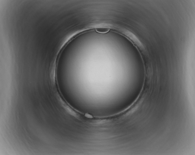 X0000115761228200911201151