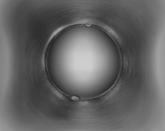 X0000115761230200911201151