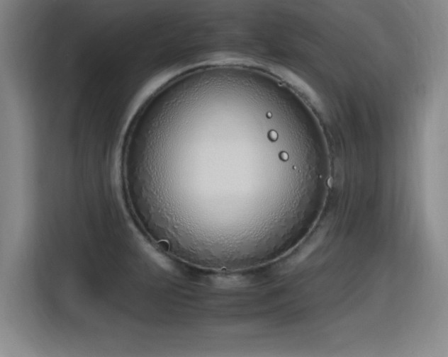 X0000115761231200911201151