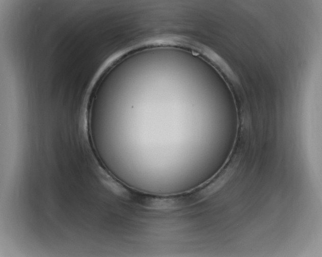 X0000115761232200911201151