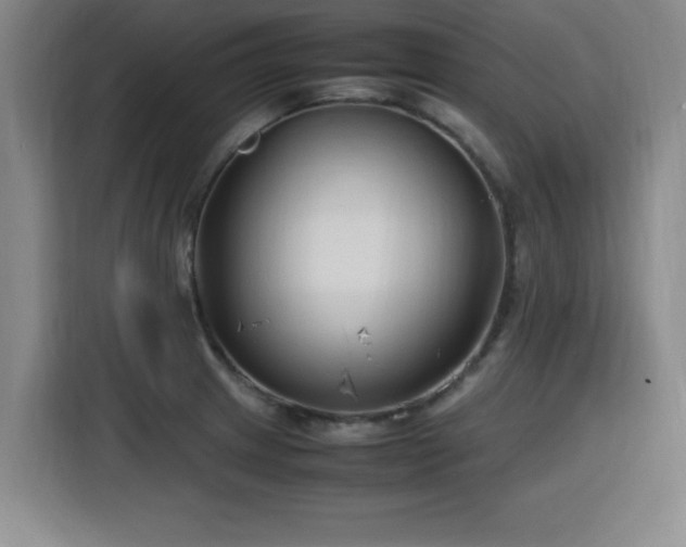 X0000115761233200911201151