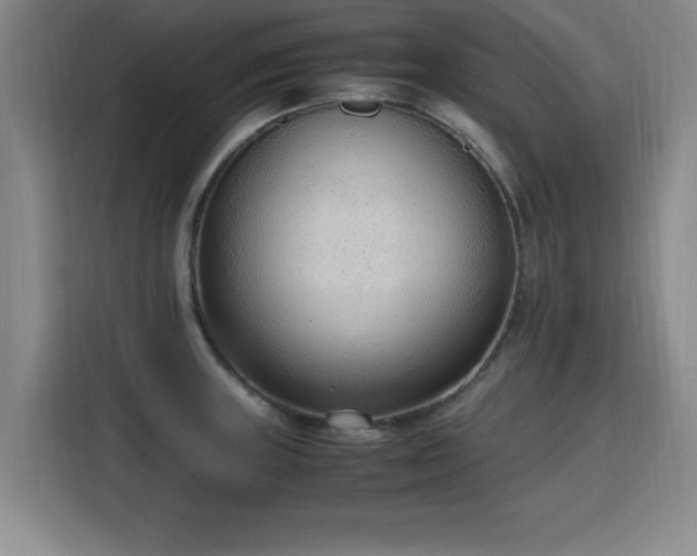 X0000115761235200911201151