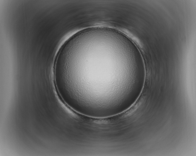 X0000115761239200911201151