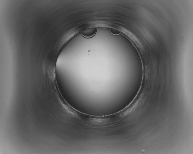 X0000115761241200911201151