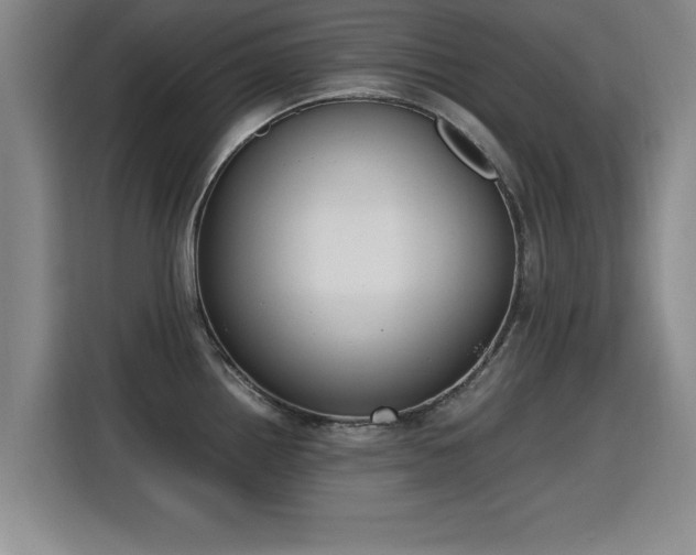 X0000115761242200911201151