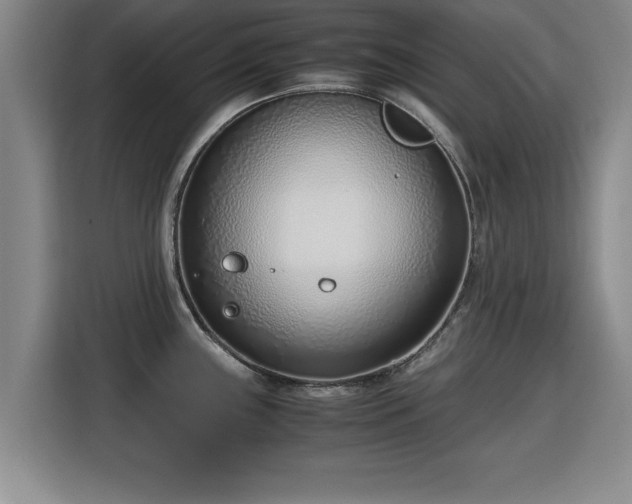 X0000115761243200911201152