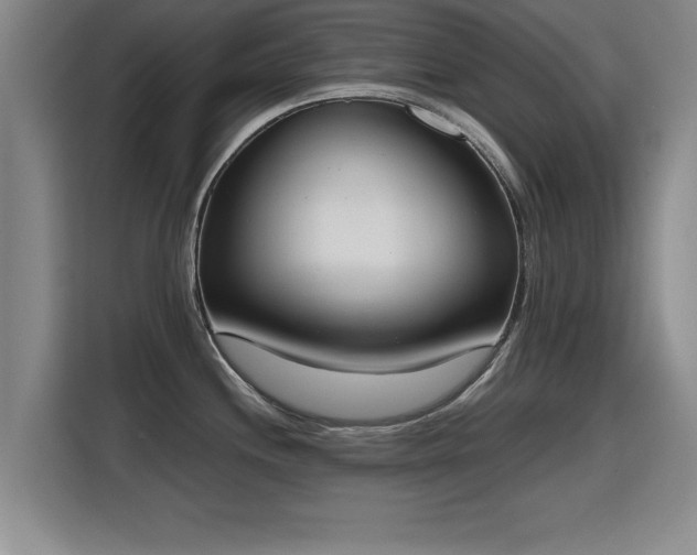 X0000115761244200911201152