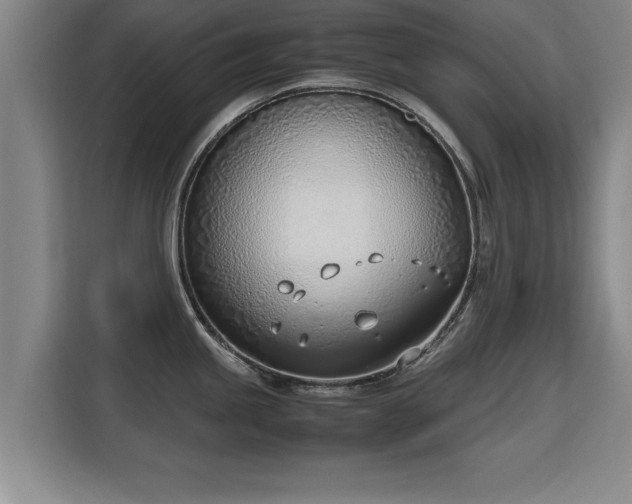 X0000115761245200911201152