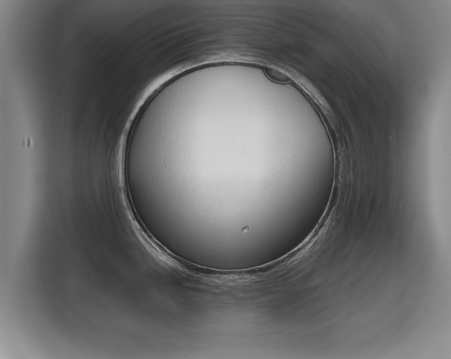 X0000115761246200911201152