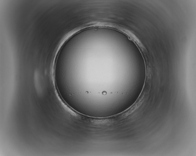 X0000115761247200911201152