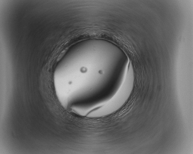 X0000115761249200911201151
