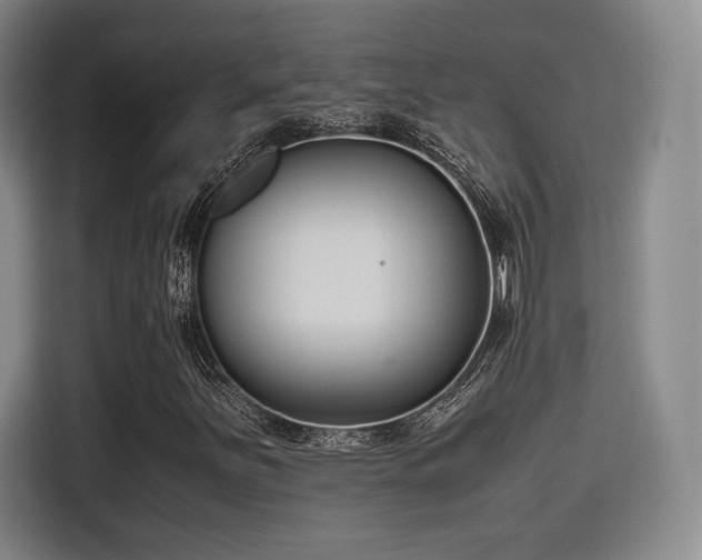 X0000115761251200911201151