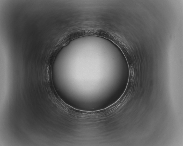 X0000115761252200911201151