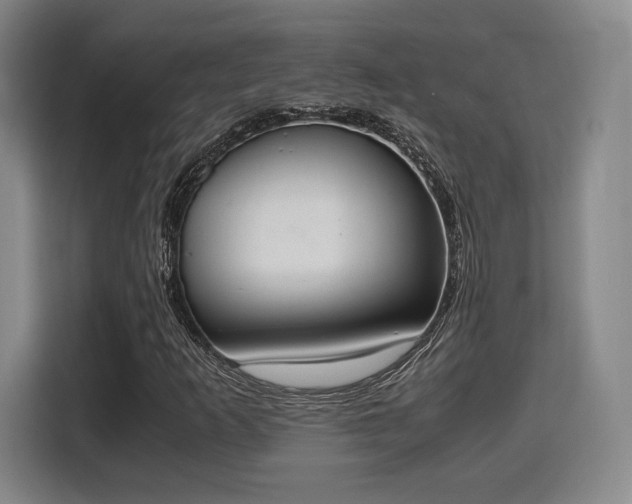 X0000115761253200911201151