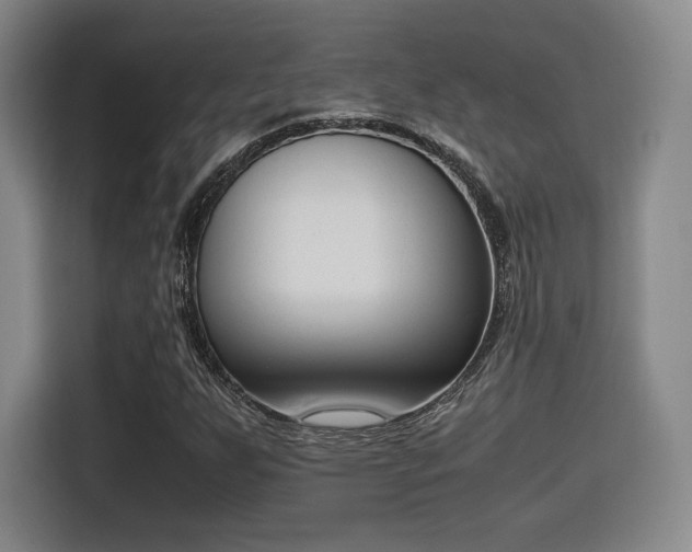 X0000115761255200911201151