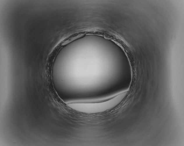 X0000115761256200911201151