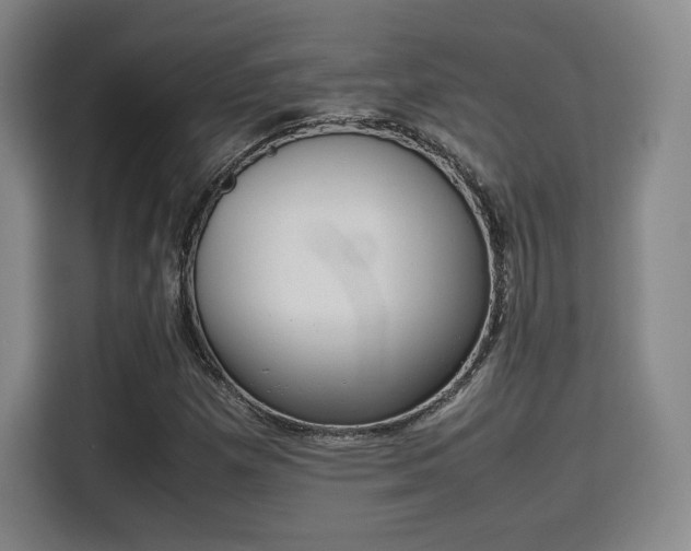 X0000115761257200911201151
