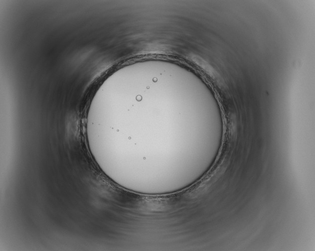 X0000115761258200911201151