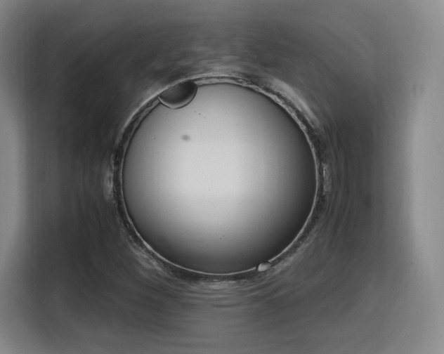 X0000115761260200911201151