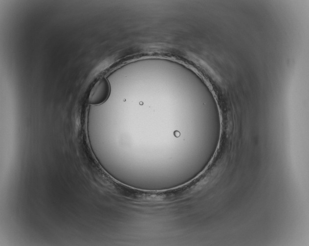 X0000115761261200911201151