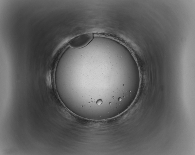X0000115761262200911201151